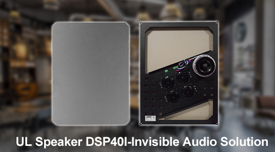 घर के लिए DSP40I-Invisible ऑडियो समाधान