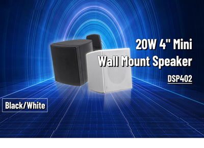 Dsp402 20W 4 इंच मिनी दीवार माउंट स्पीकर