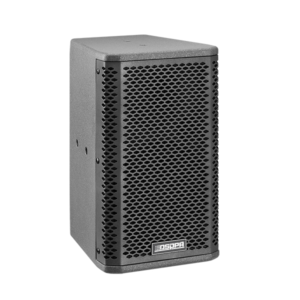 DSP-106P/DSP-108P/DSP-110P Professional POE Powered Dante Loudspeaker