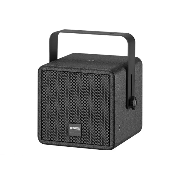 DSP3061 2-Way 6'' 120W Coaxial Wall Mount Speaker - 翻译中...
